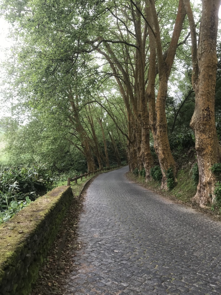 Reise auf die Azoren – Wanderungen und Ausflüge Teil&nbsp;1