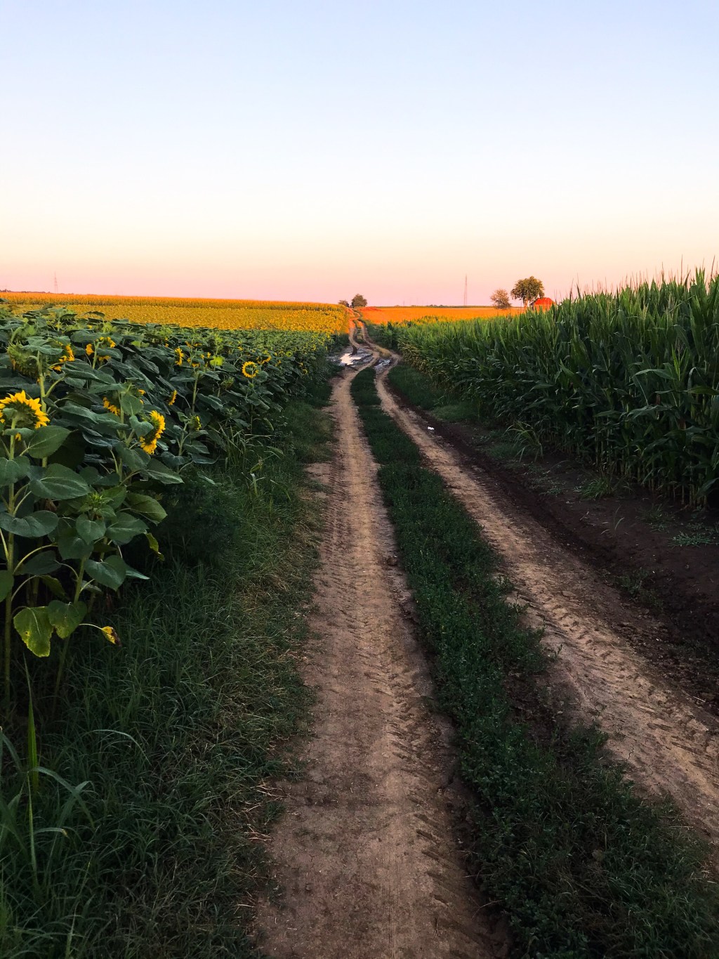 Die Vielfalt der autonomen Provinz Vojvodina (Geschichtsstunde mit&nbsp;Johannsen)