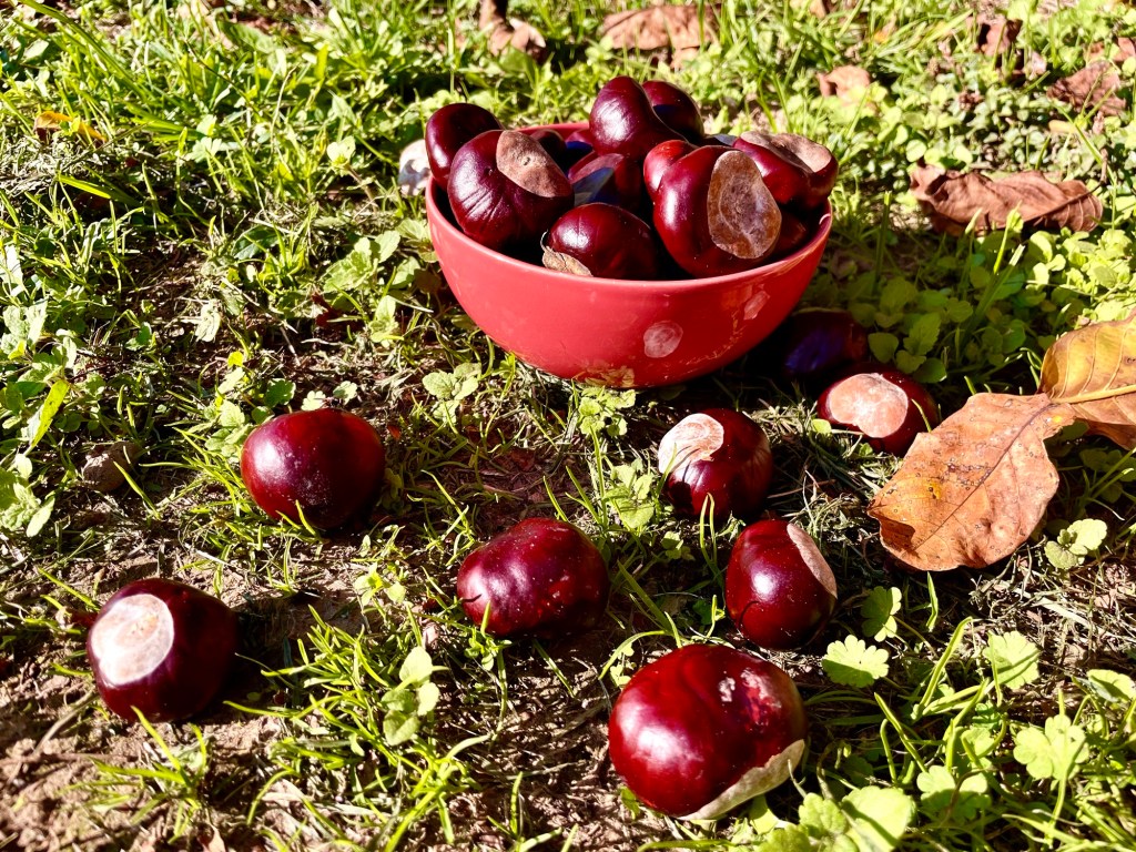 Waschen mit Kastanien